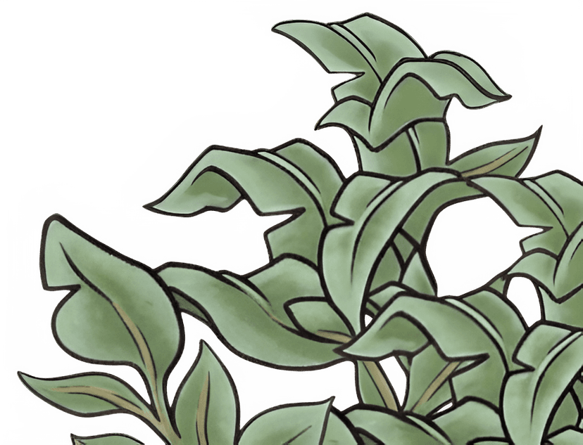 Pflanzen-Dekoration rechts